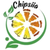 cropped-chipsiia-logo.webp